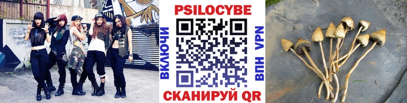 даркнет сайт  Бодайбо  МЕГА зеркало  Псилоцибиновые грибы GOLDEN TEACHER 